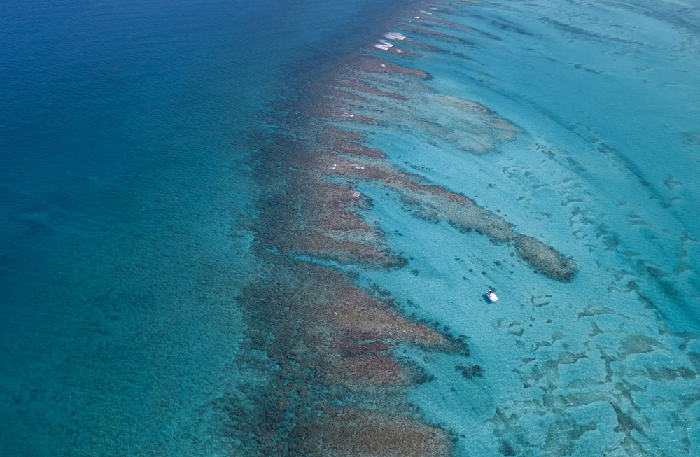 Turks & Caicos Islands coral reef